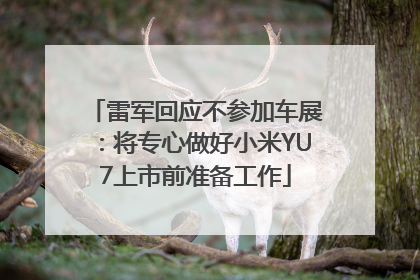 雷军回应不参加车展：将专心做好小米YU7上市前准备工作
